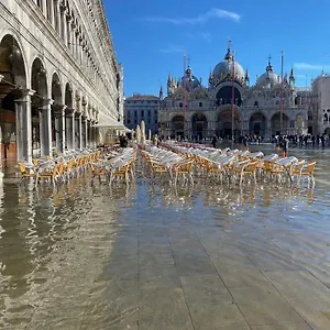 Peggy Venice